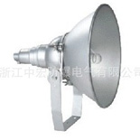 防爆投光灯